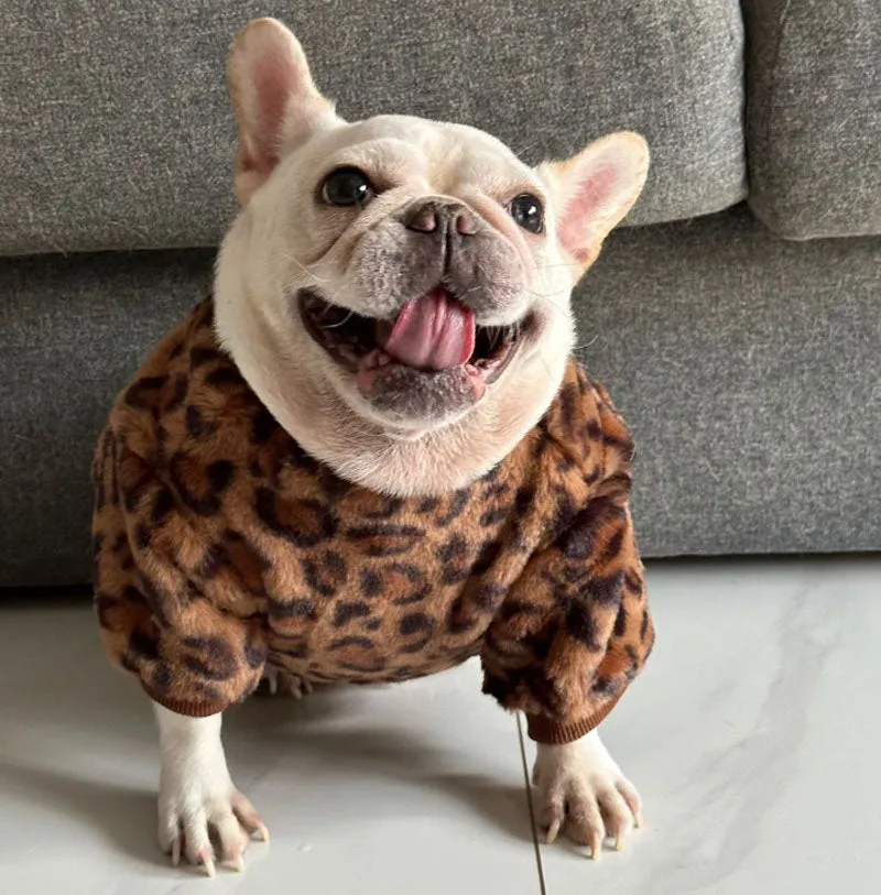 Autumn and winter dog clothes French bulldog English bulldog Pug Corgi bully pet warm plush thick clothing