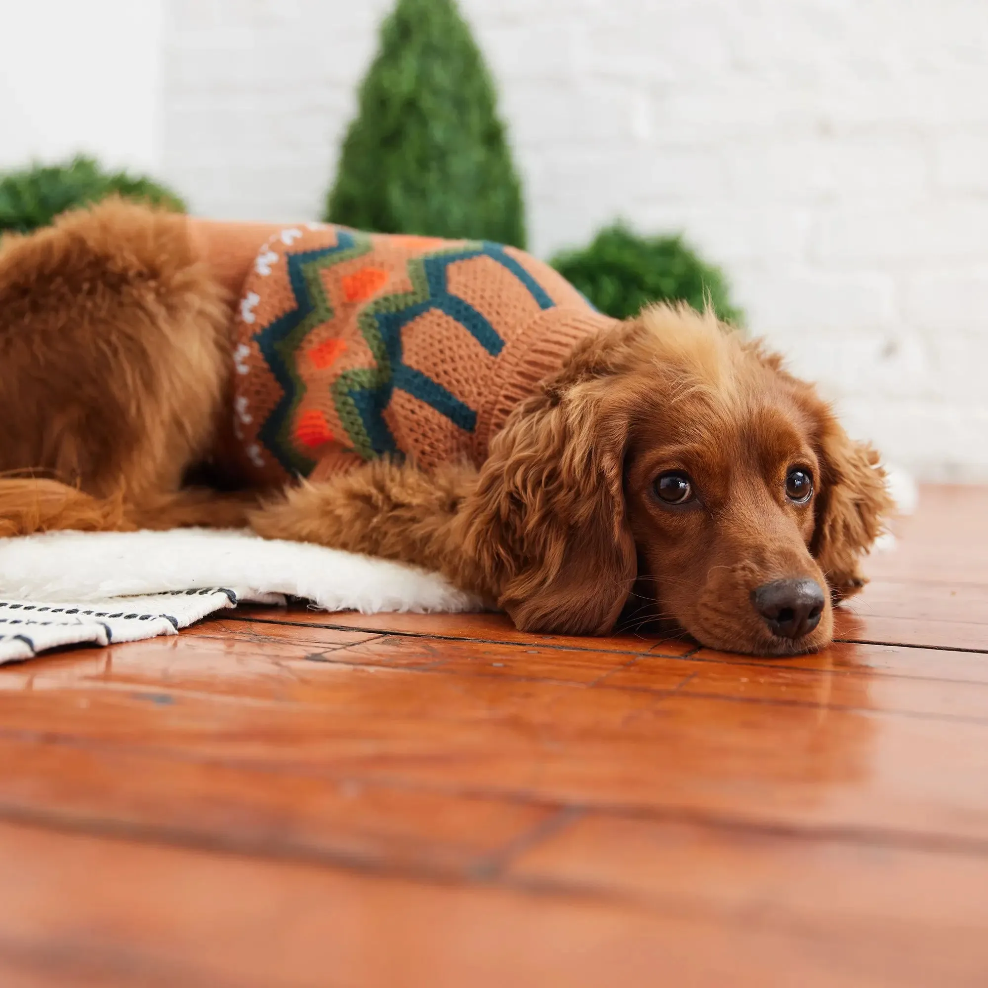 Heritage Dog Sweater | Hazel