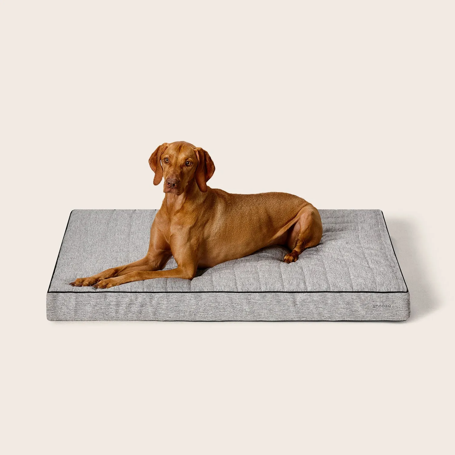 Odour Control Dream Mat
