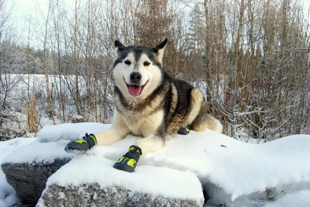 Waterproof Reflective Dog Shoes – Anti-Slip Rain Boots